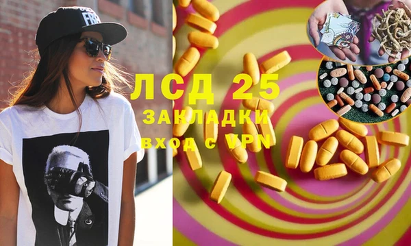 ПСИЛОЦИБИНОВЫЕ ГРИБЫ Переславль-Залесский