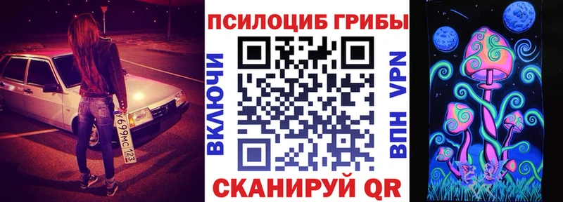 наркота  ссылка на мегу маркетплейс  Галлюциногенные грибы Psilocybe  Власиха 